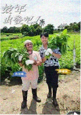 乡土恋老小说 灶台边的两个人 封面